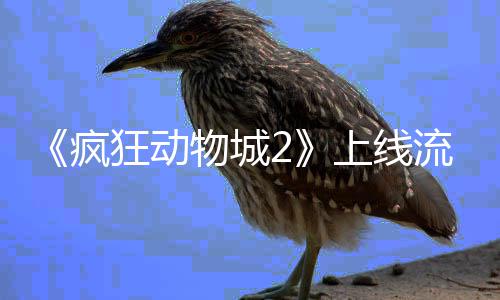 物城狂动体平台再流媒录破收疯上线视记