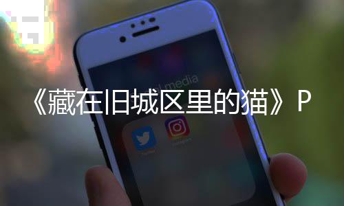 版下版分在旧载 m正载猫藏城区里的流下