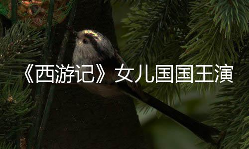 儿国女西国王近照朱琳游记演员犹存曝光风韵