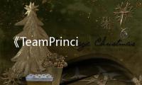 《TeamPrincipalARacingManager》PC版下载 Steam正版分流下载