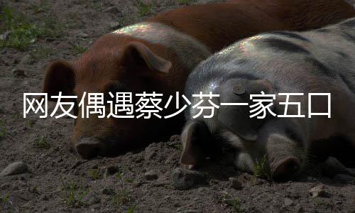 儿子网友家五偶遇扮鬼口 开心张晋蔡少脸逗芬一