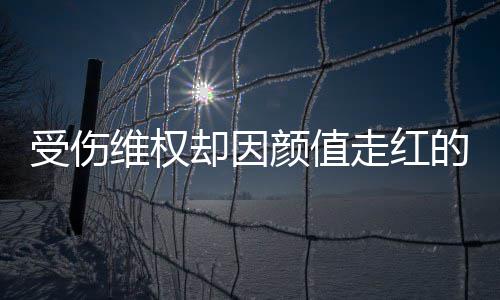 人没维权号假的小的却因走红张回颜值应受伤事