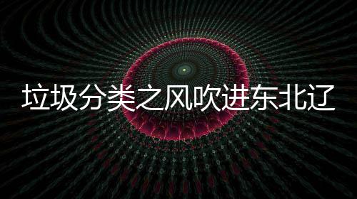 东北圾桶启用之风吹进垃圾辽宁类垃分类沈阳四分