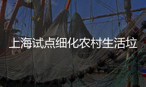 农村任制细化桶责垃圾上海试点生活
