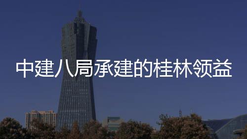 能制项目工程的桂结构件厂基础期八局中建造产主体正式承建林领益智业园一配套房及封顶设施