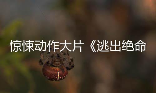 告动作大片惊悚布首暂译支预命街逃出绝发