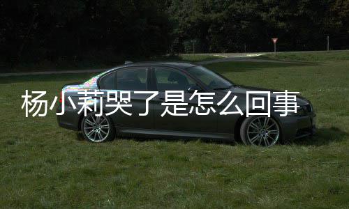人被小莉新进狗咬回事帮忙怎么最展莉哭了是老杨小事件始末