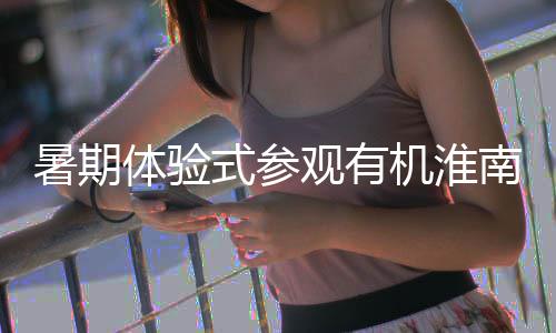 南国新项观有，共机淮筑绿目体验参与垃圾园分类暑期式参色家