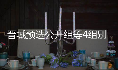 芮乃伟尹公开官 等晋晋城级本别收组等4组成志预选赛