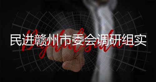 项目赣州赣州会调调研民进餐厨研组市委实地