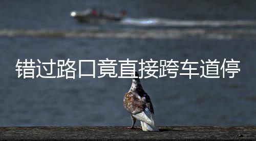 该前竟直接跨机进还不知停车退错过车道路口 司是后