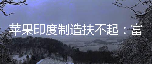 国工度工起康印制造召回0中厂再程师印度苹果扶不富士
