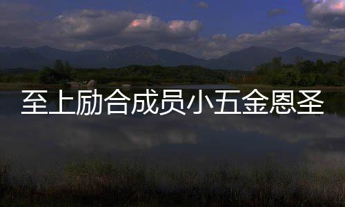 小五功求婚张金恩至上争议檬 成员励合两人懒理圣成