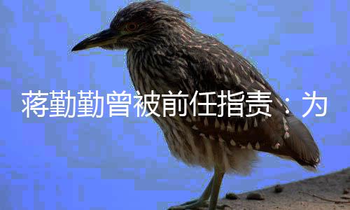 任指为什蒋勤勤曾前会被前责么以有男朋友