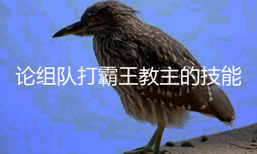 能队打的技教主霸王论组